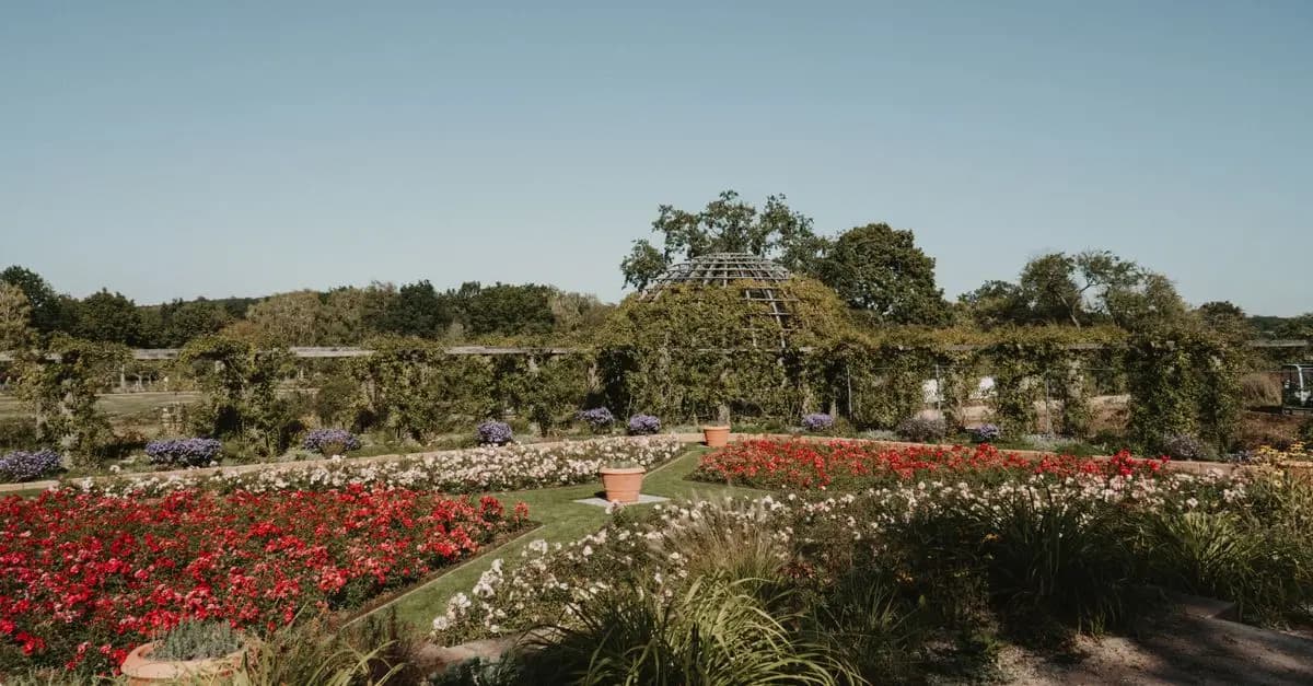 Guide d'Achat pour la Création de Jardins Verticaux